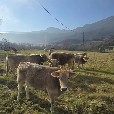Complex Rural Caubet Berga