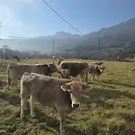 Complex Rural Can Caubet Berga