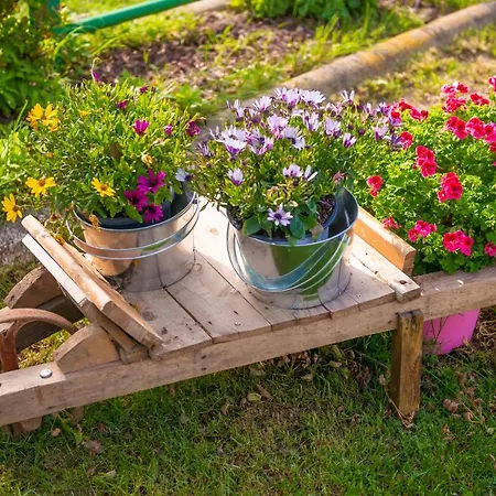 Complex Rural Caubet * ベルガ