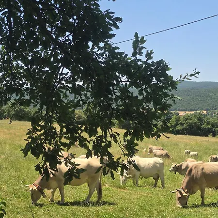 Complex Rural Caubet Séjour à la ferme *