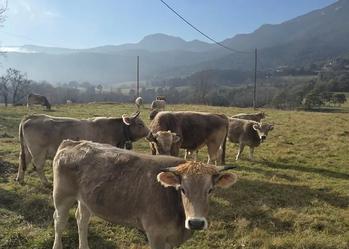 Complex Rural Caubet Берга
