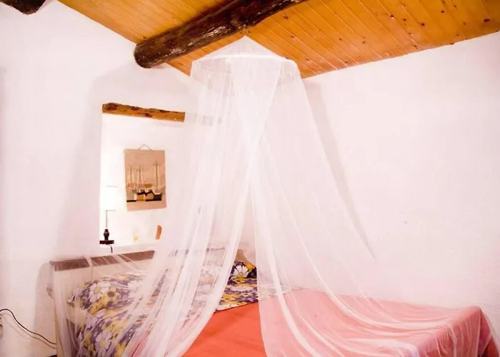 Фермерский дом Complex Rural Caubet Берга